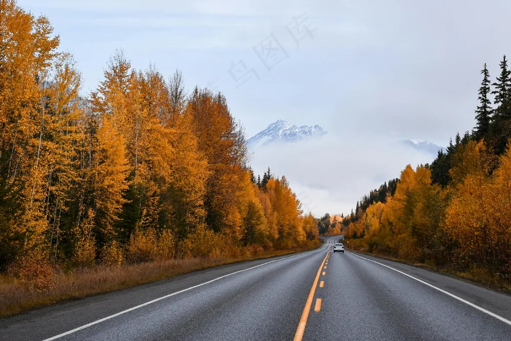 秋季公路通往远方的旅程