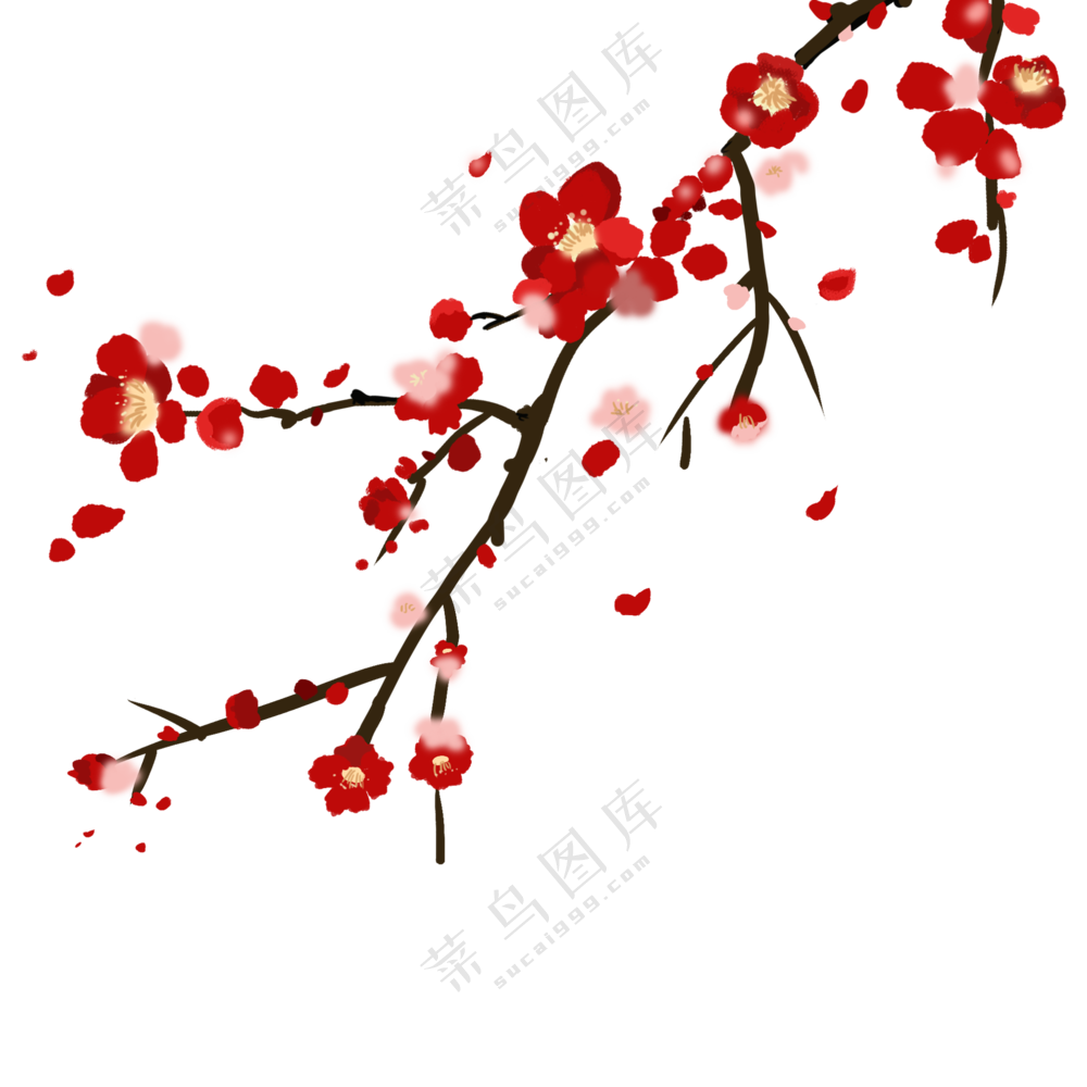 红梅与飘落的花瓣装饰元素免抠图片