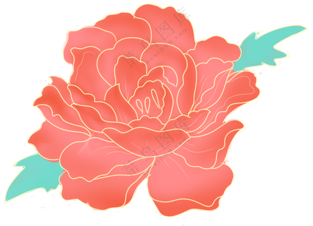 红色的花卉