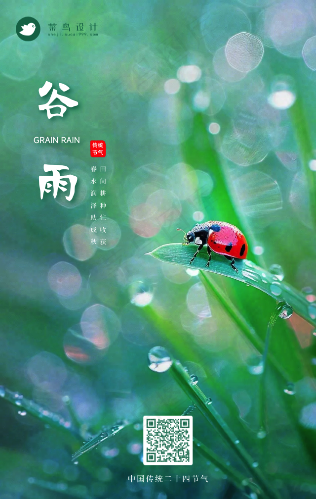 谷雨手机海报