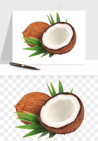 椰子椰果水果png免抠