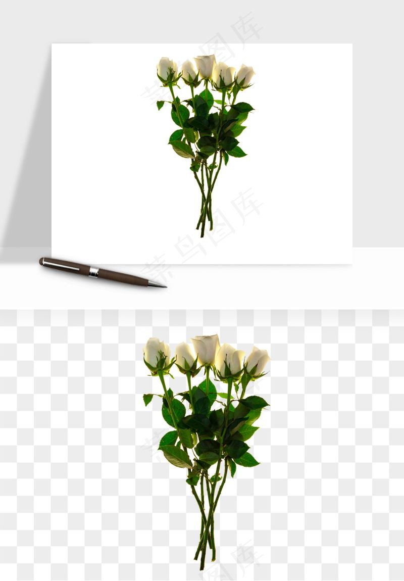白玫瑰花枝花束png免抠