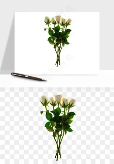 白玫瑰花枝花束png免抠