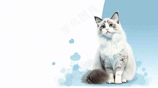 宠物生活馆猫狗卡通插画背景