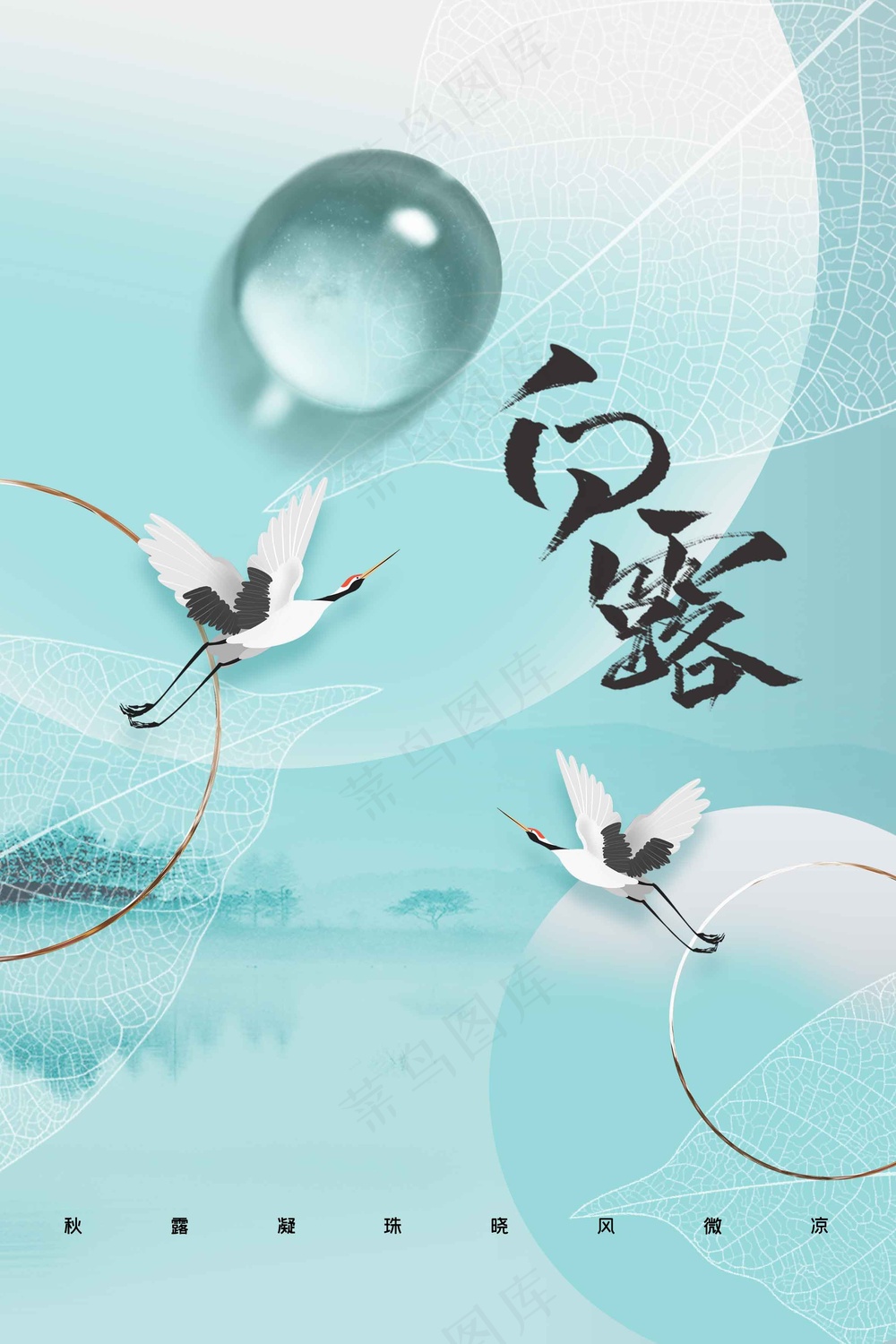 白露节气传统活动海报