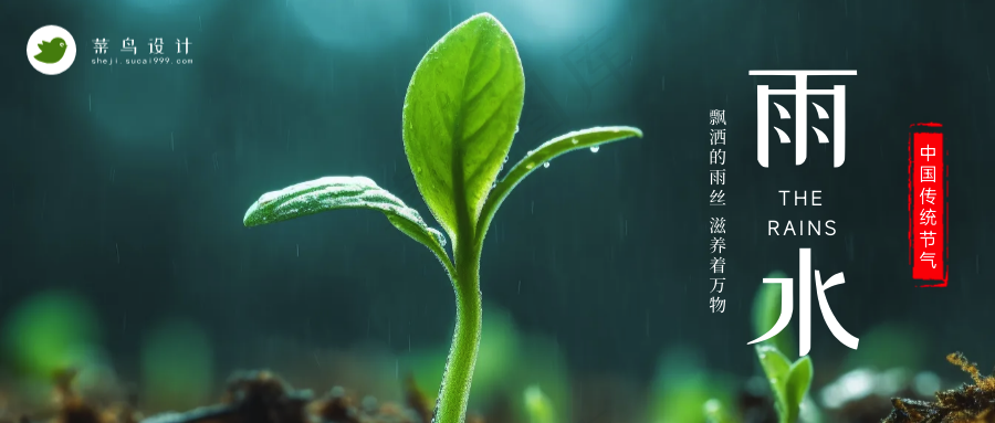 雨水公众号首图