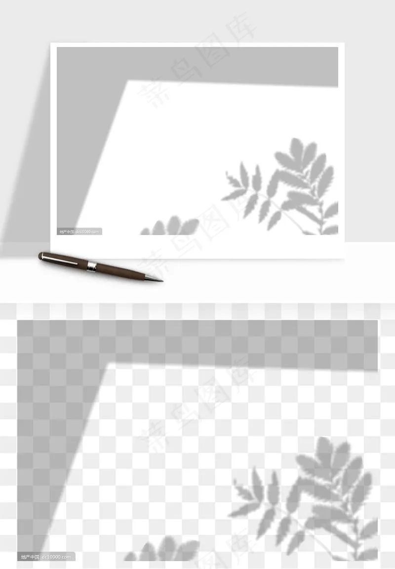 阴影植物窗户投影免抠元素