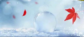 冬季白雪飘落红色枫叶雪花小寒大寒小雪立冬背景