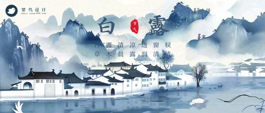 白露公众号首图