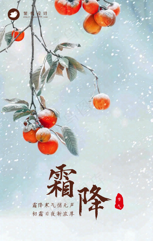霜降手机海报