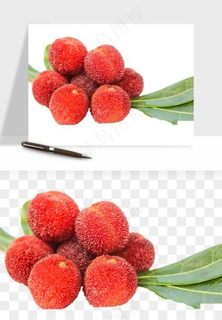 杨梅采摘水果png免抠