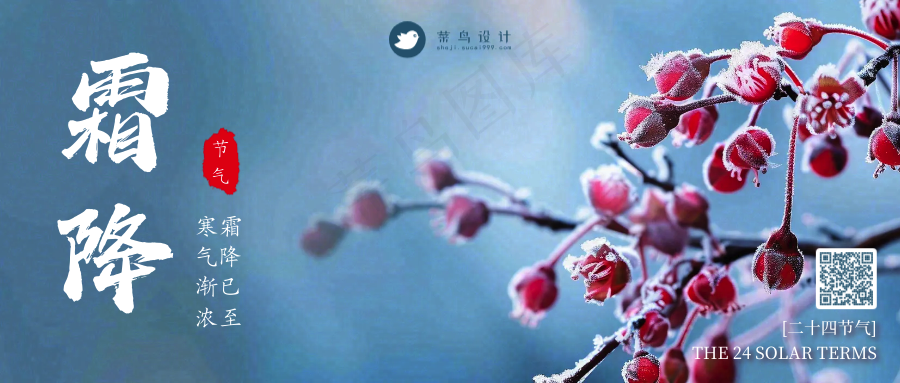 霜降公众号首图