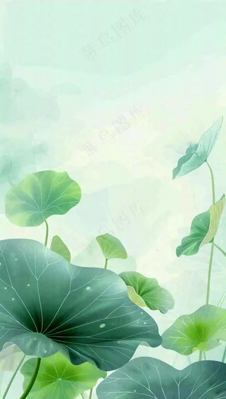 夏天荷花荷叶清凉小清新淡雅小暑大暑处暑插画背景