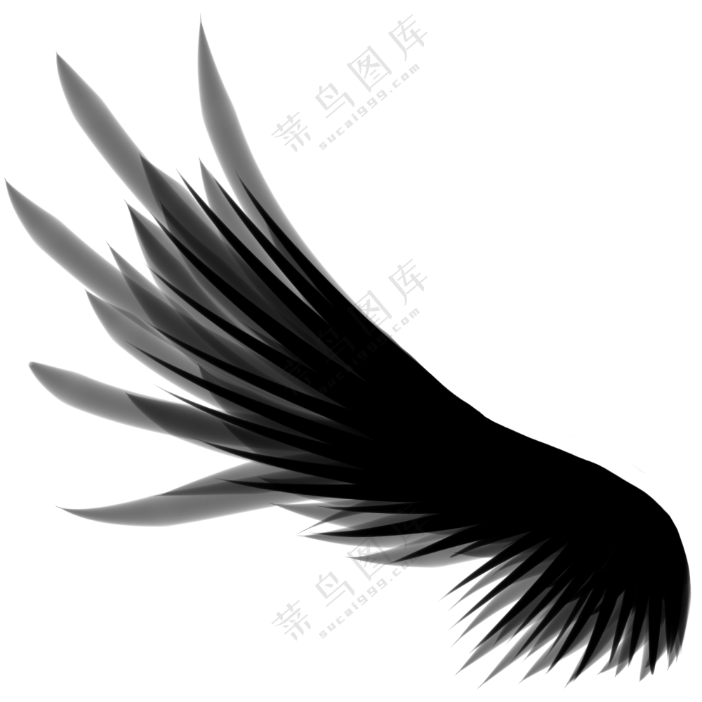 简约效果黑色羽毛翅膀免抠图片素材