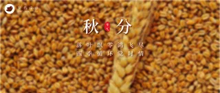 秋分公众号首图