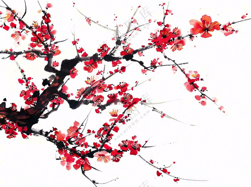 红色梅花傲雪水墨画插画免抠