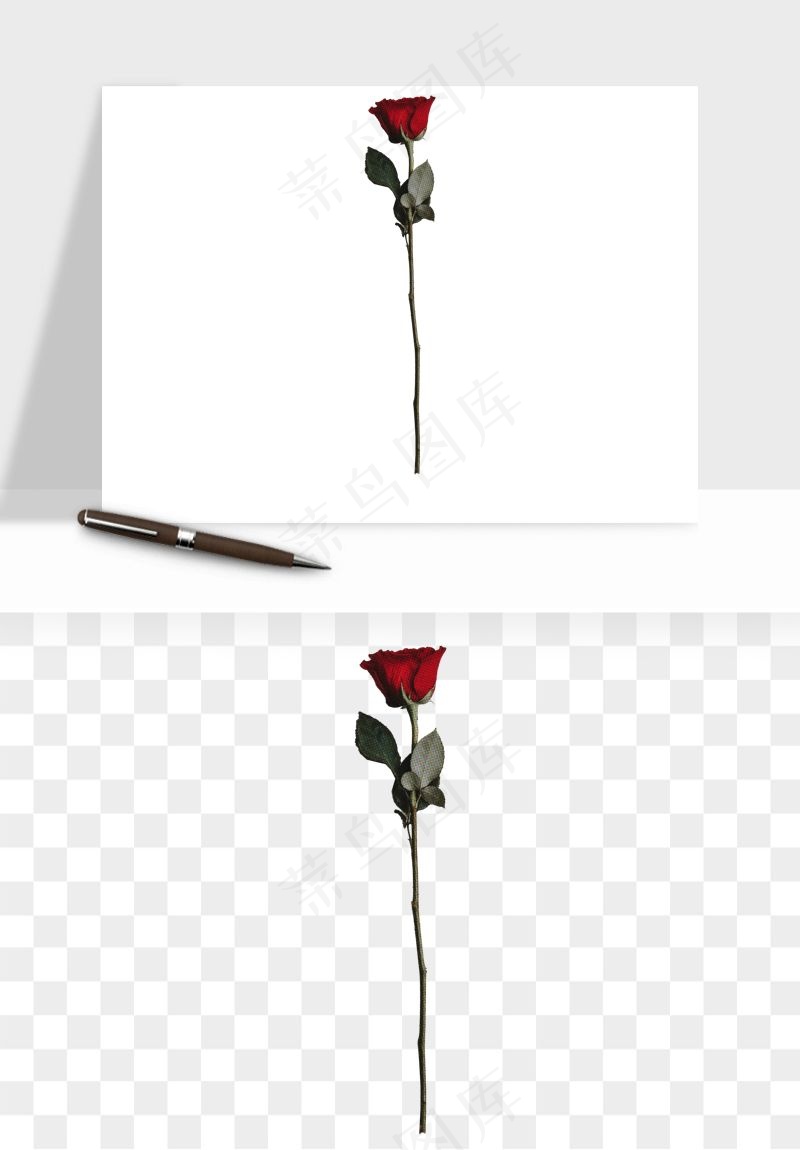 复古鲜花玫瑰png免抠