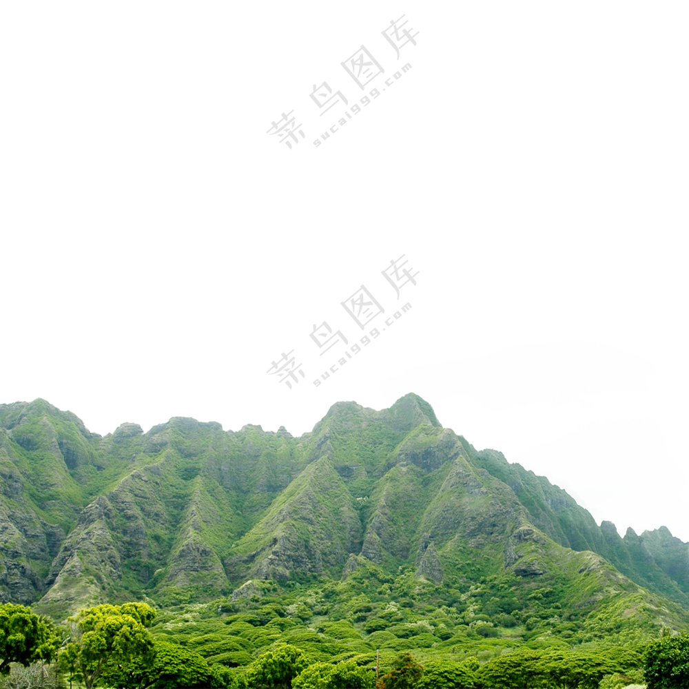 青翠葱茏树木植被群山风光免抠图片