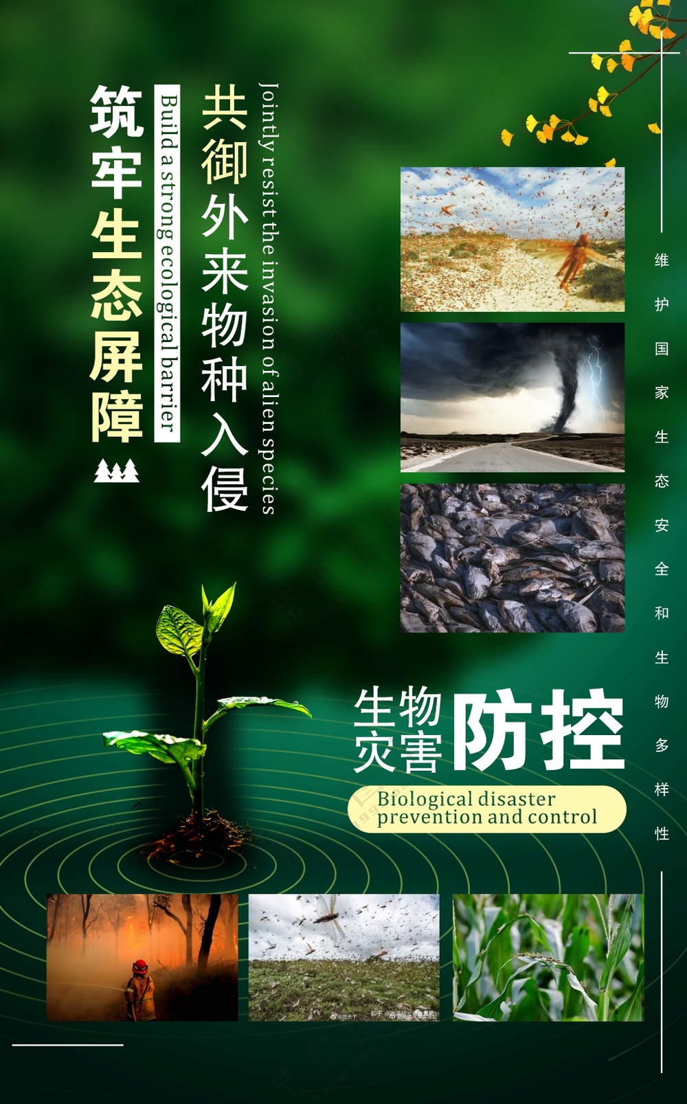 生物灾害防控