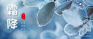 霜降公众号首图