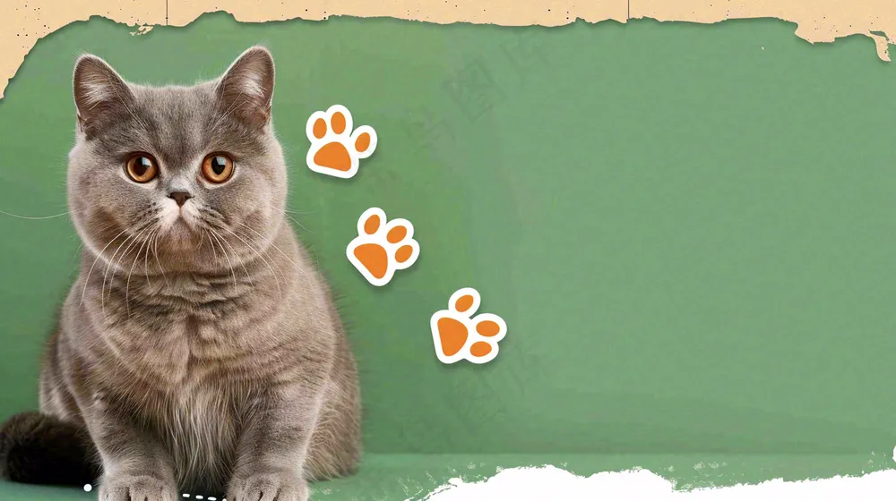 宠物生活馆猫狗卡通插画背景