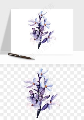 水彩复古植物花卉png免抠