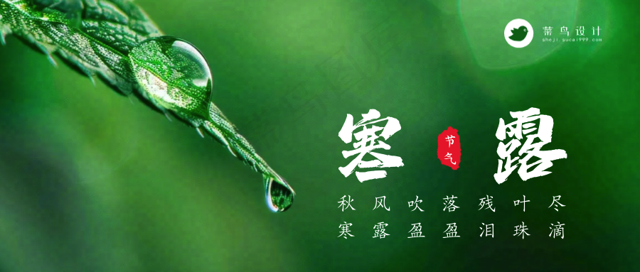 寒露公众号首图