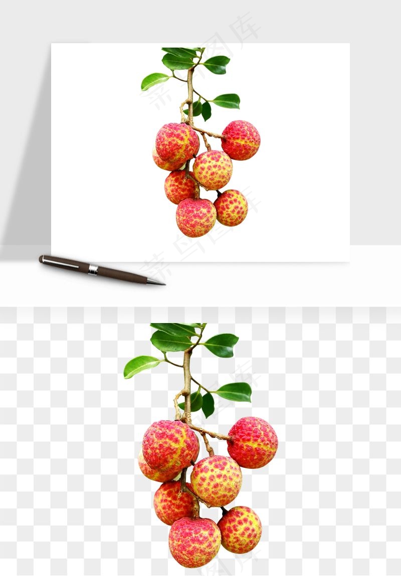 荔枝妃子笑水果png免抠