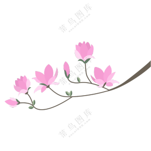 粉色玉兰花
