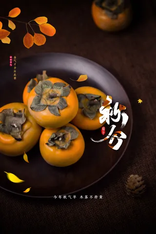 秋分节气传统活动海报