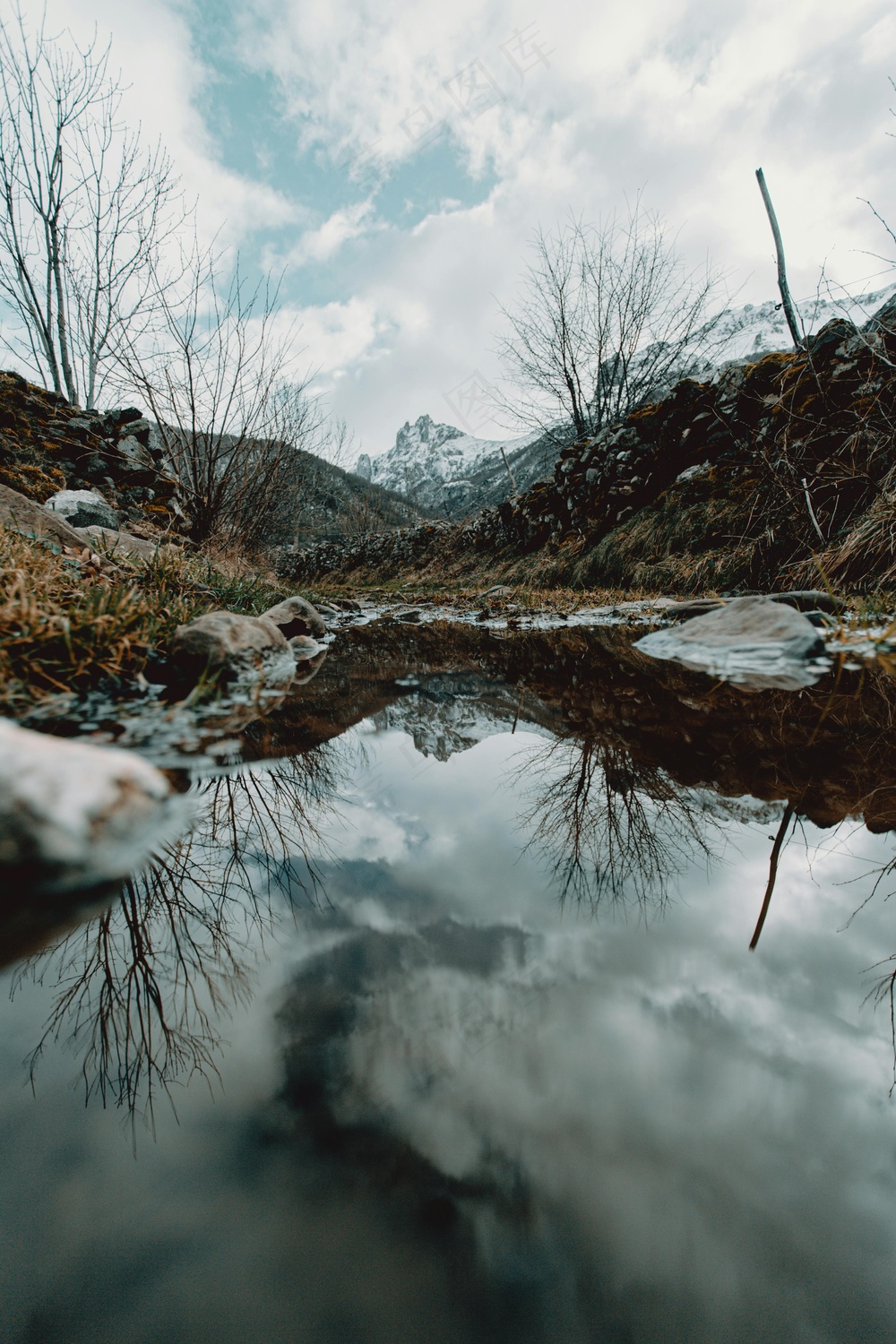溪边雪景静谧图·自然清新·蓝灰白棕·壁纸之选