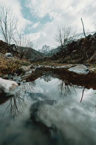 溪边雪景静谧图·自然清新·蓝灰白棕·壁纸之选