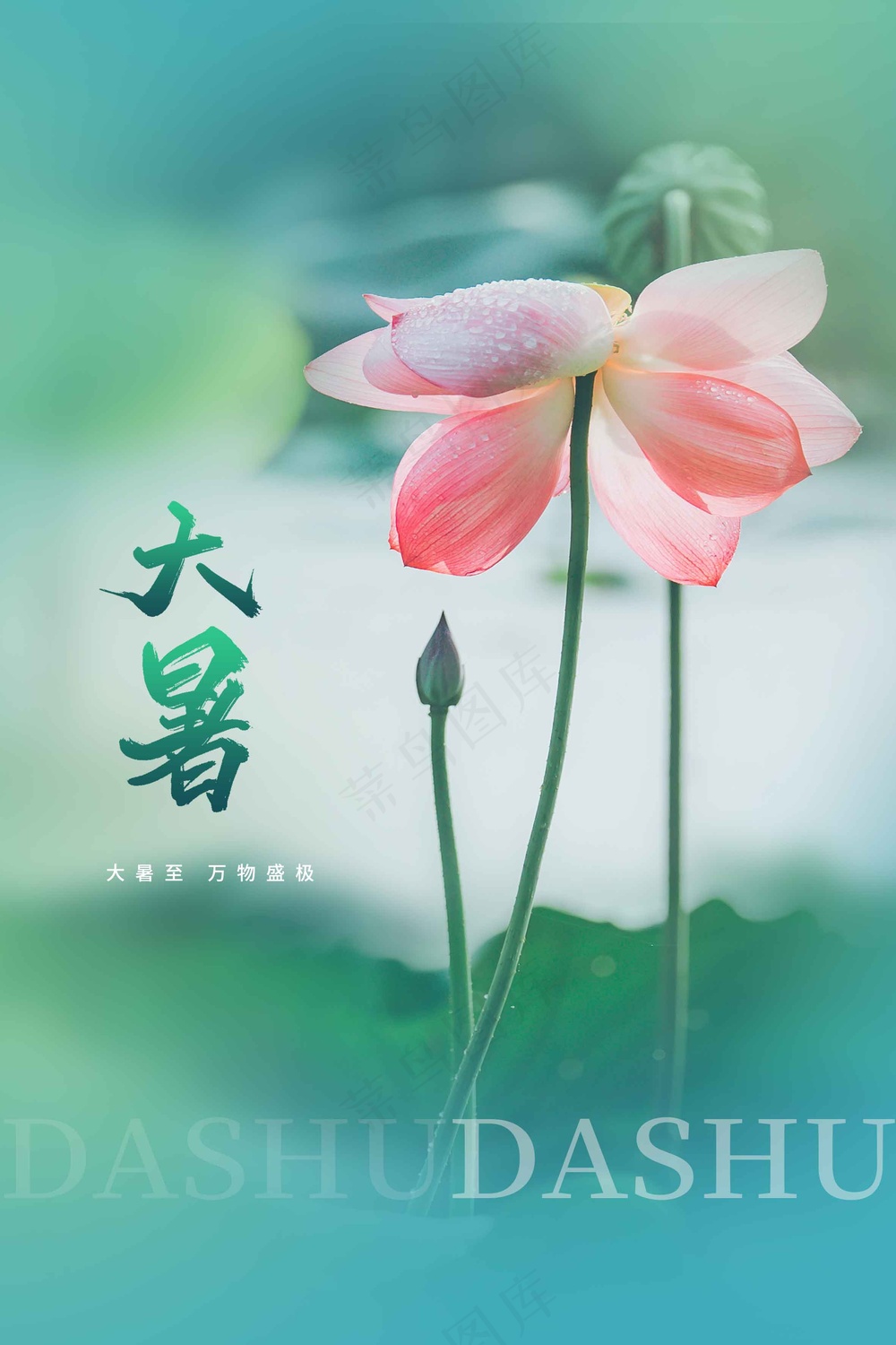 简约大暑节气传统活动海报