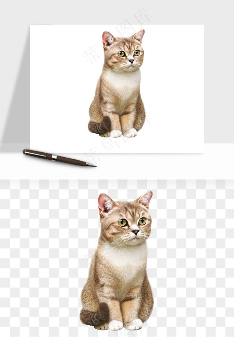 猫咪喵星人狗狗宠物元素png免抠