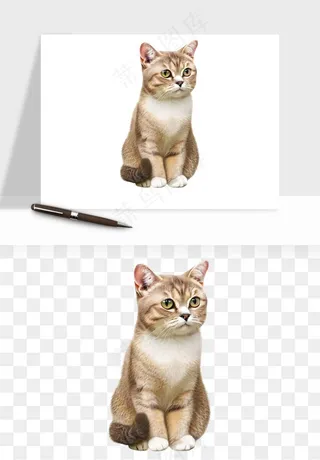 猫咪喵星人狗狗宠物元素png免抠