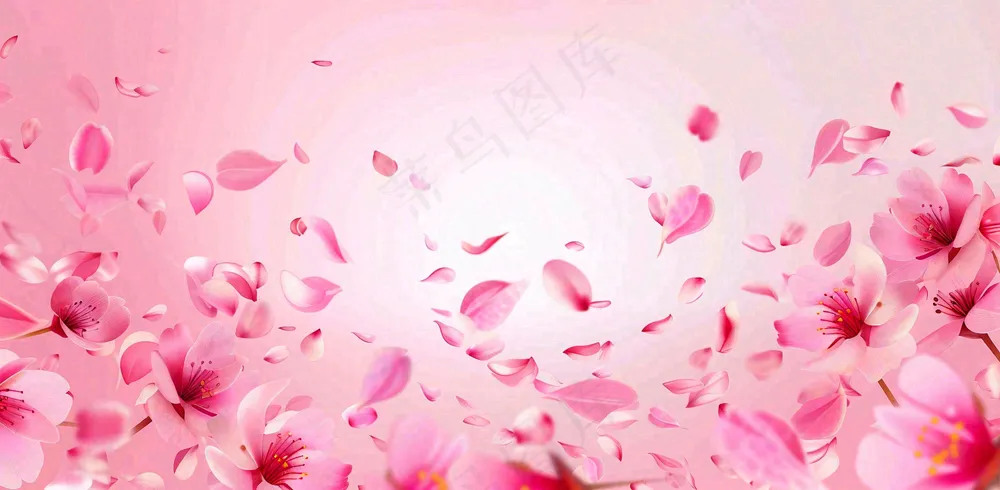 粉色樱花花瓣唯美妇女节春天摄影图