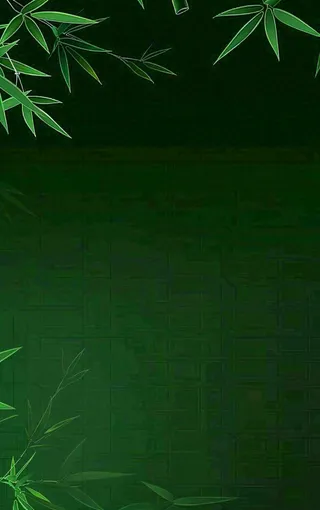 端午佳节竹子插画中国风绿色清雅静背景