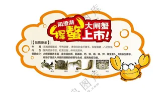 阳澄湖大闸蟹吊牌