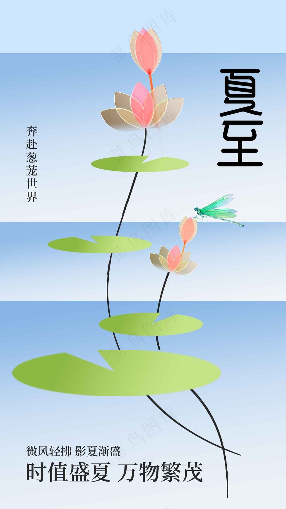 夏至节气传统活动海报