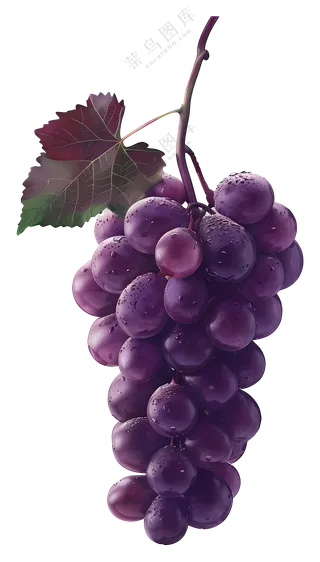 多汁红葡萄串