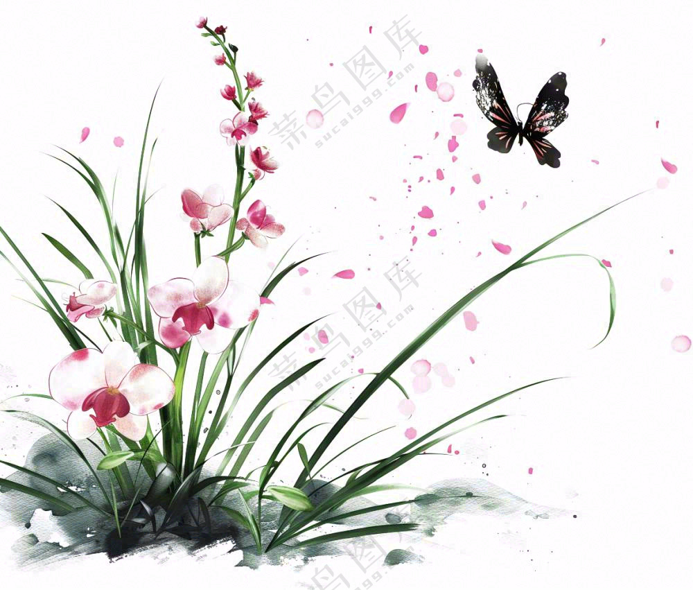 兰花粉色吊兰蝴蝶水墨画插画免抠