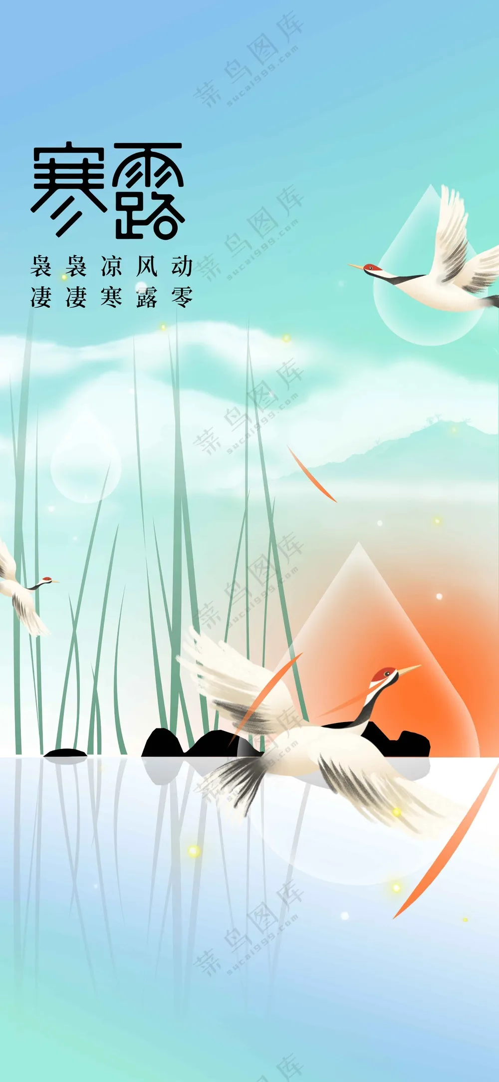 寒露节气传统活动宣传海报
