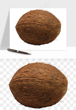 椰子椰果水果png免抠