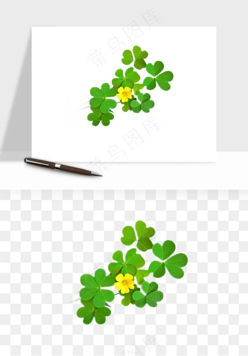 手绘四叶草幸运植物png免抠