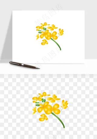 油菜花田png免抠