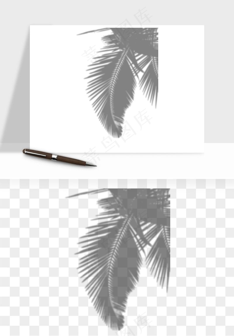 阴影植物窗户投影免抠元素