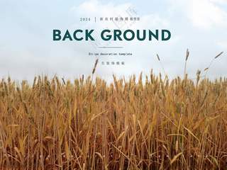 麦子麦田广告设计庄家PSD