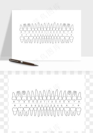 牙齿手绘矢量png免抠