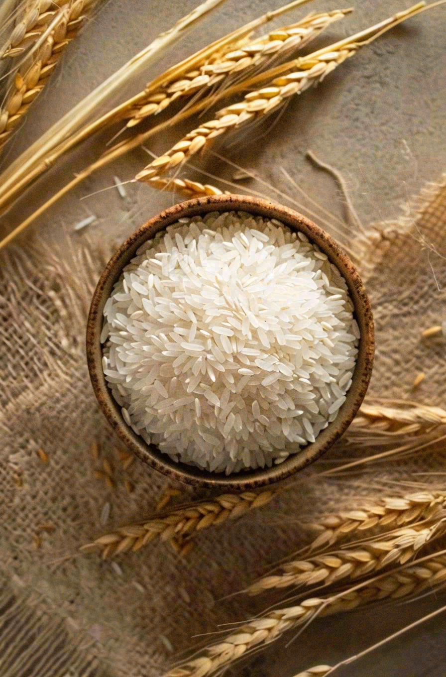 世界粮食日谷物米饭稻谷小麦摄影图