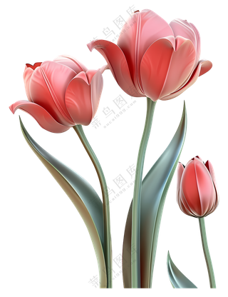 3d鲜花-美丽的粉色郁金香盛开